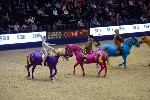 Quadrille - 00520